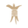 pixabay